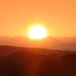 Meet your Posher, Rose